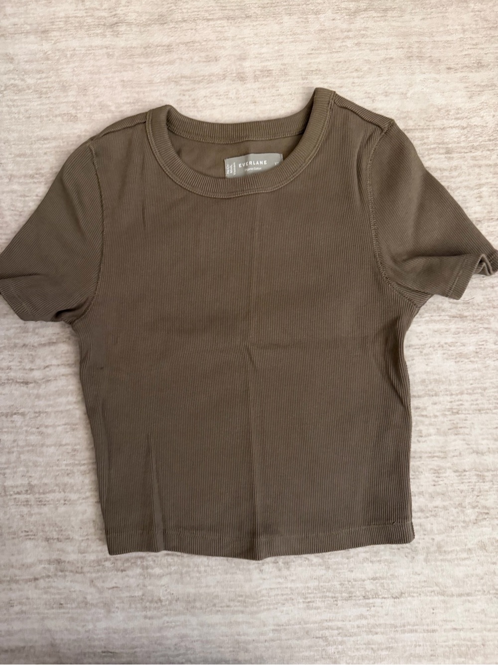 Everlane Ribbed Tee in Olive Brown